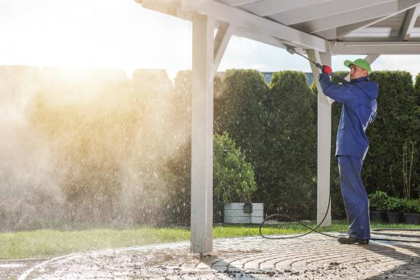 Animal Enclosure Cleaning in Dunlap, IL